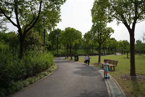 顧村公園預定指南：探訪自然之美，享受綠意盎然